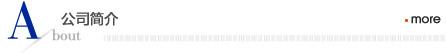 公司(si)簡介